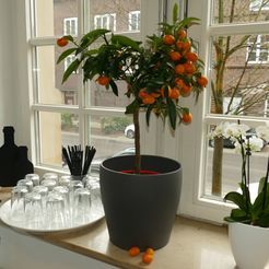 Kantine Fensterbank Kantine Fensterbank